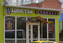 г. Ногинск, Богородский округ, Московская обл.