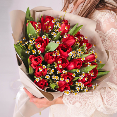Букет из 19 красных тюльпанов с ромашками 46334