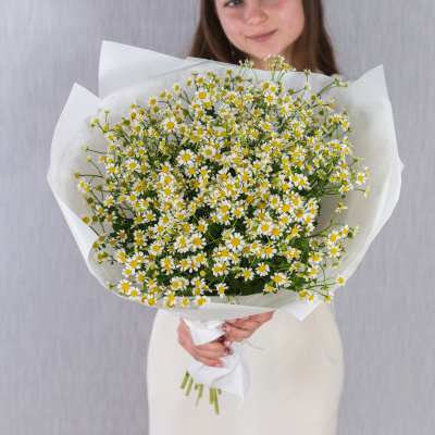 Круглый букет из ромашек танацетумов 36303 Круглый букет из ромашек танацетумов 36303