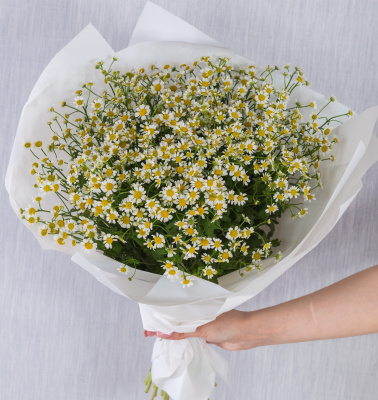 Круглый букет из ромашек танацетумов 36303 Круглый букет из ромашек танацетумов 36303