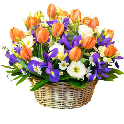 Корзина тюльпанов "Весенний мотив" 28677