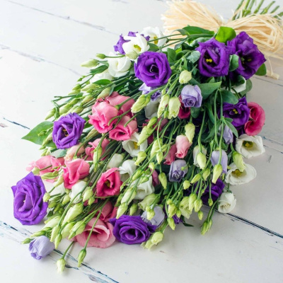 Букет из 15 Эустом (Лизиантус)