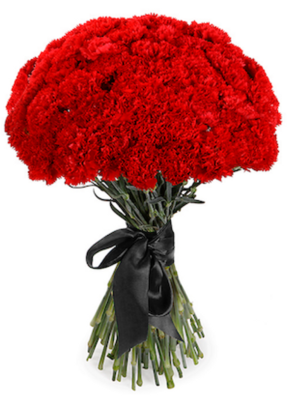 Букет из 50 красных гвоздик